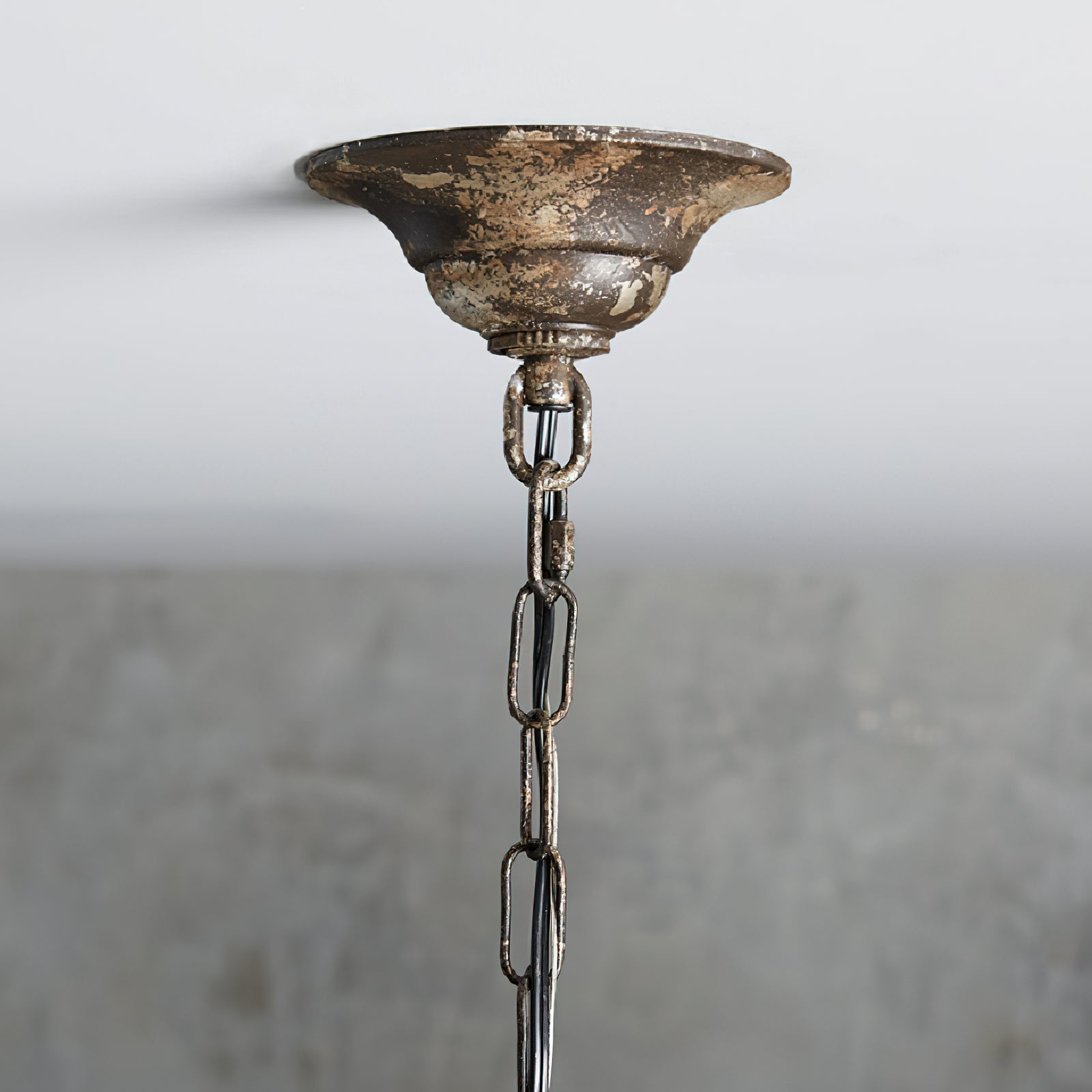 Iron Lotus Pendant Light