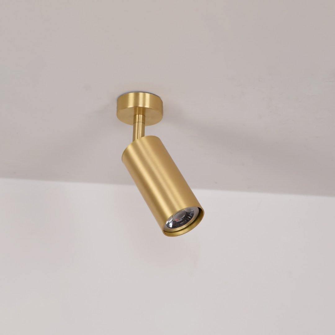 Kaelen Brass Directional Track Light