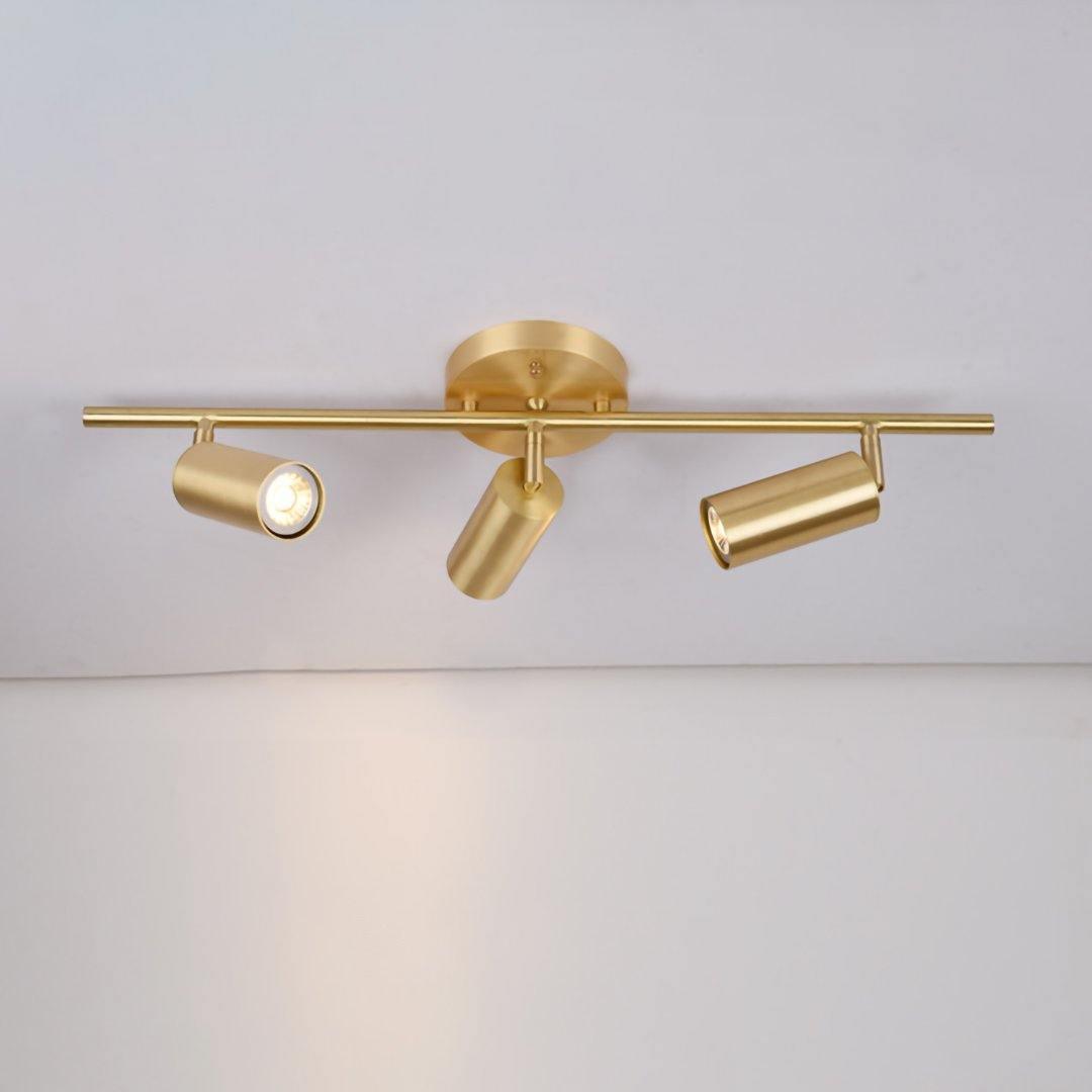 Kaelen Brass Directional Track Light