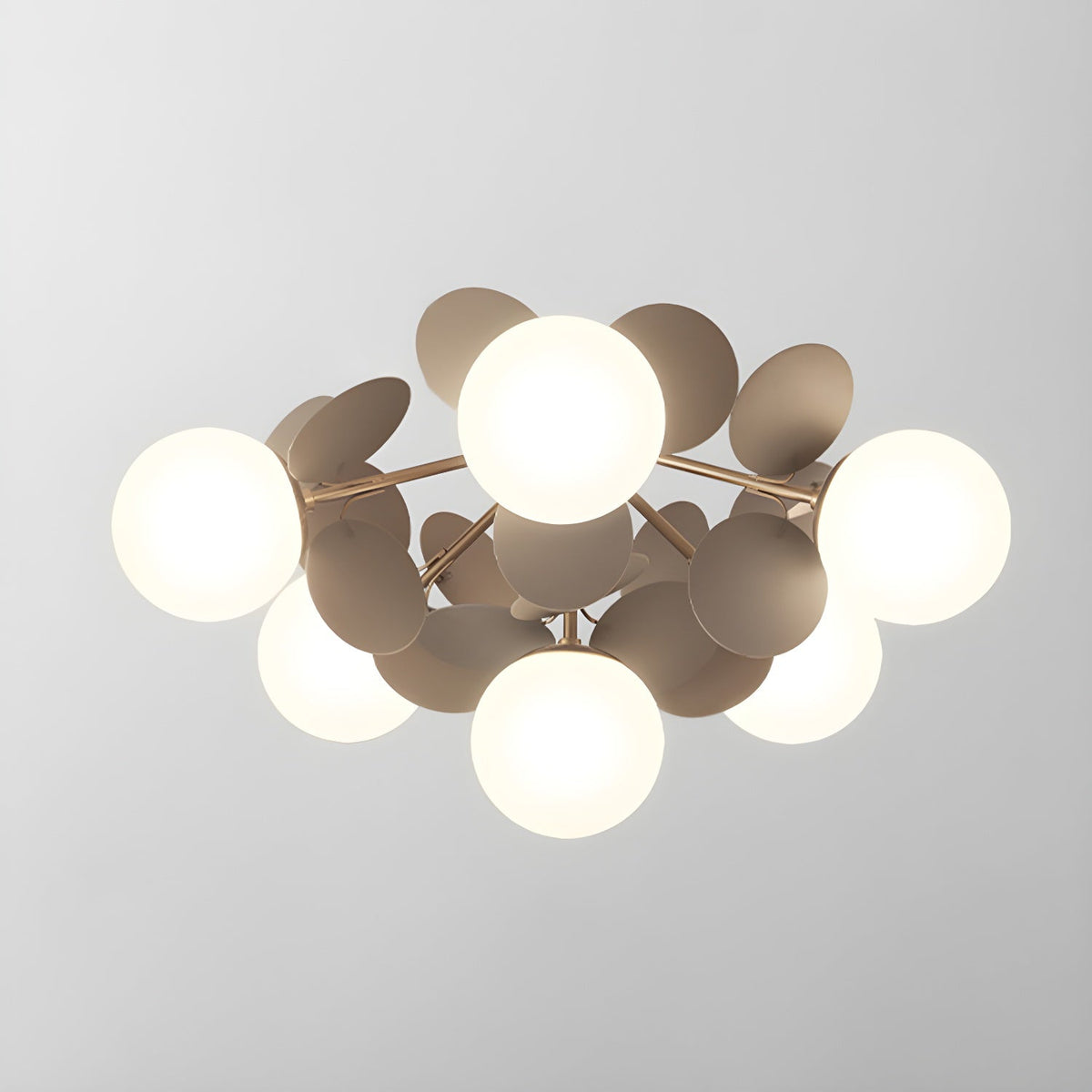 Brown Petal Globe Glass Ceiling Light Studio Display