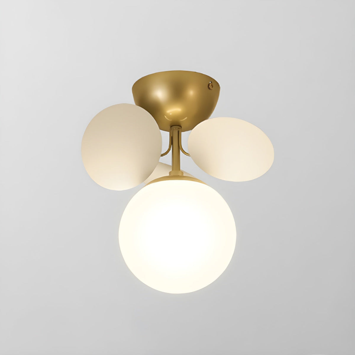 Single Light Beige Petal Ceiling Lamp Studio Display