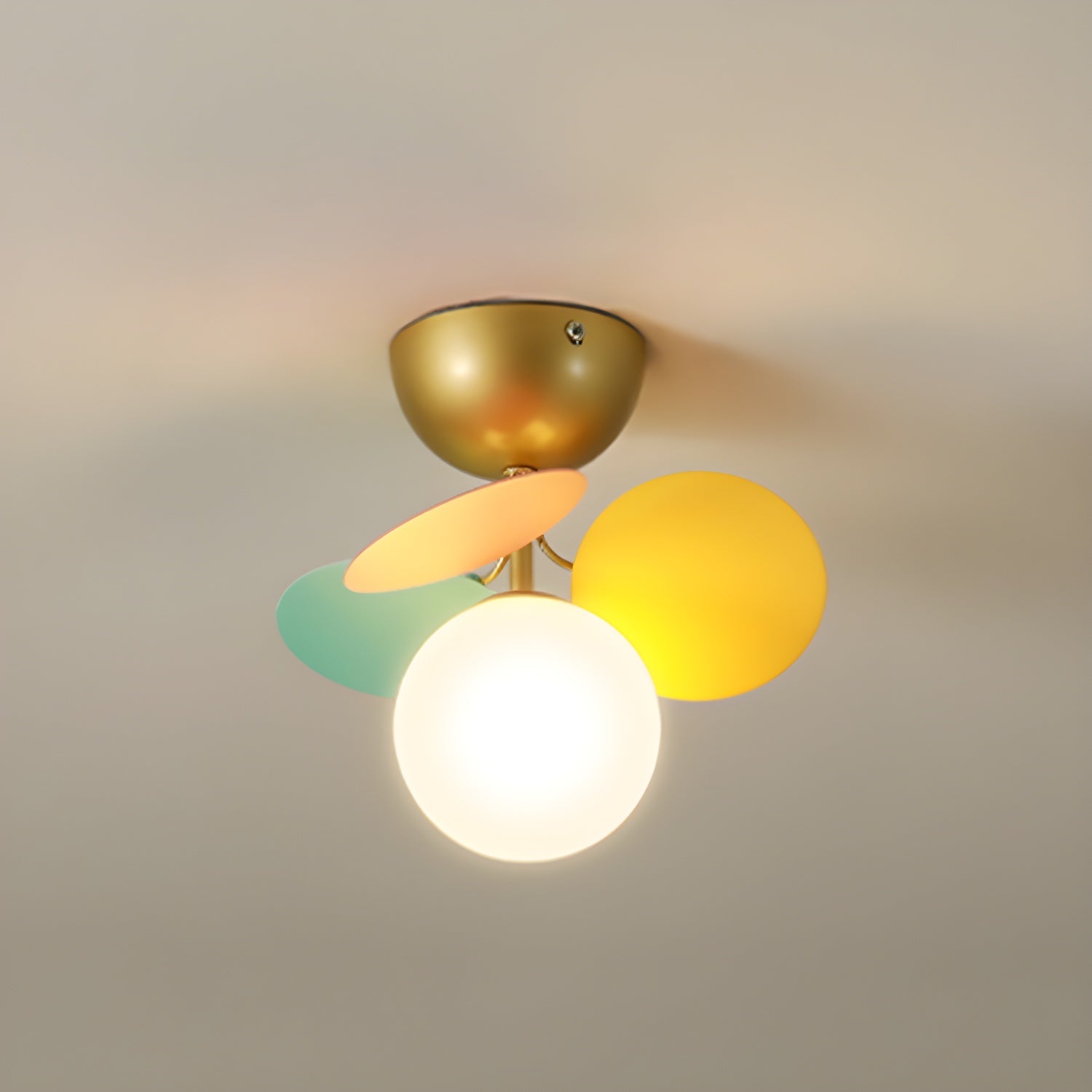 Illuminated Colorful Petal Single Ceiling Light Studio Display