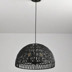 Aero Mesh Iron Dome Pendant Light