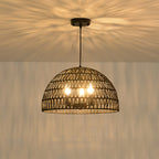 Aero Mesh Iron Dome Pendant Light
