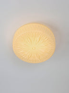 Adler Textured Glass Flush Mount