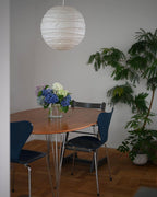 Akari D Series Pendant Lamp