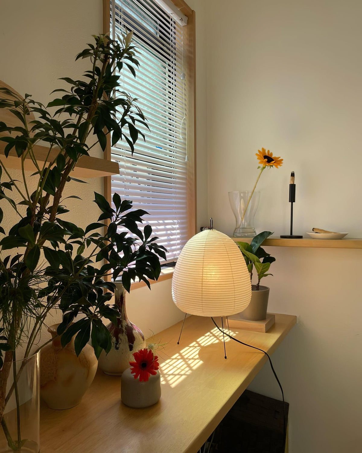 Akari Paper 1A Table Lamp ambient lighting on wooden desk with potted plant