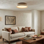 Modern Minimalist Wood and Terrazzo Ceiling Light in Contemporary Living Space