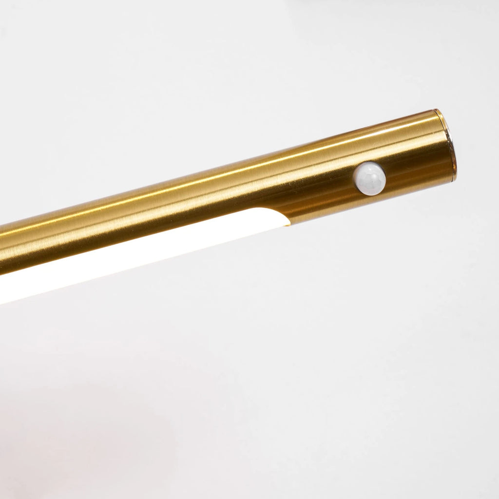 Detail View of Brass Picture Light LED Outlet