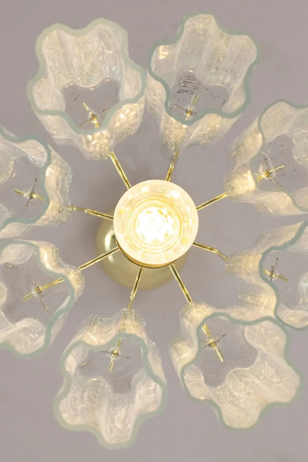 Illuminated Modern Painted Petal Art Glass Ceiling Light Studio Shot