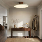 Modern Flush Mount Ceiling Light in Hallway Setting