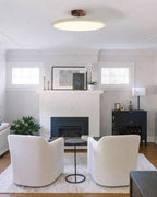 Modern Wood Ceiling Light in Living Room with Fireplace
