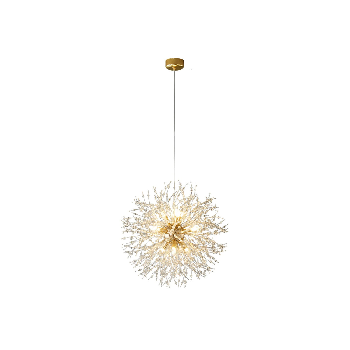 Modern Brass Dandelion Coral Branch Chandelier on Pure White Background