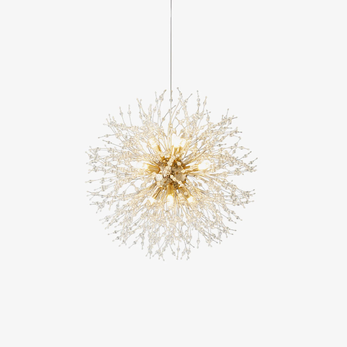 Modern Brass Coral Branch Chandelier Studio Display