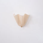 Glass Petal Wall Sconce
