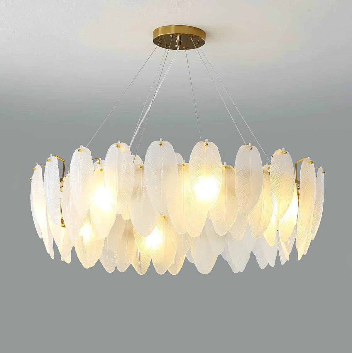 Illuminated Modern Brass Feather Art Glass Chandelier Studio Shot on Dark Background