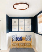 Modern Flush Mount Ceiling Light in Entryway Foyer