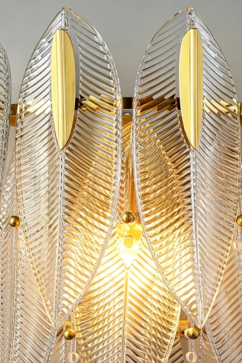 Close Up View of Feather Glass Petals Texture and Edge Details
