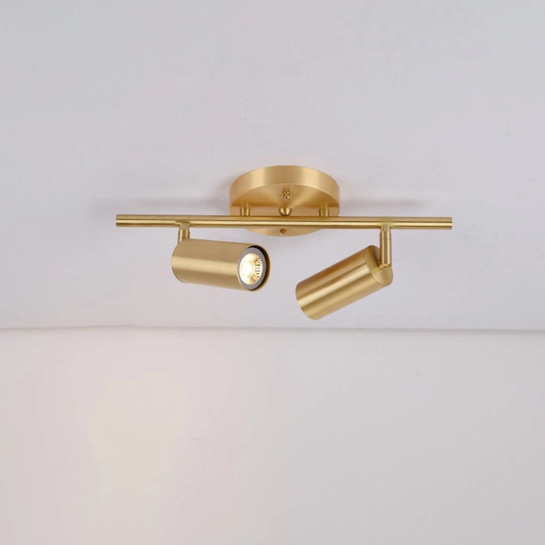 2 Light Brass Adjustable Track Spotlight Studio Display