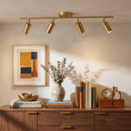 Kaelen Brass Directional Ceiling/Wall Lamp