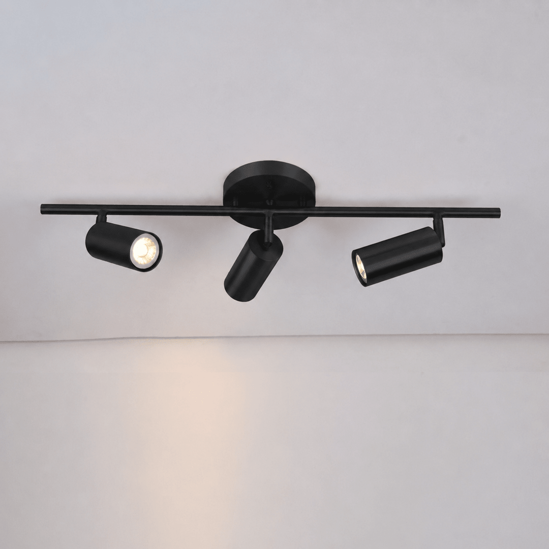Kaelen Brass Directional Ceiling/Wall Lamp
