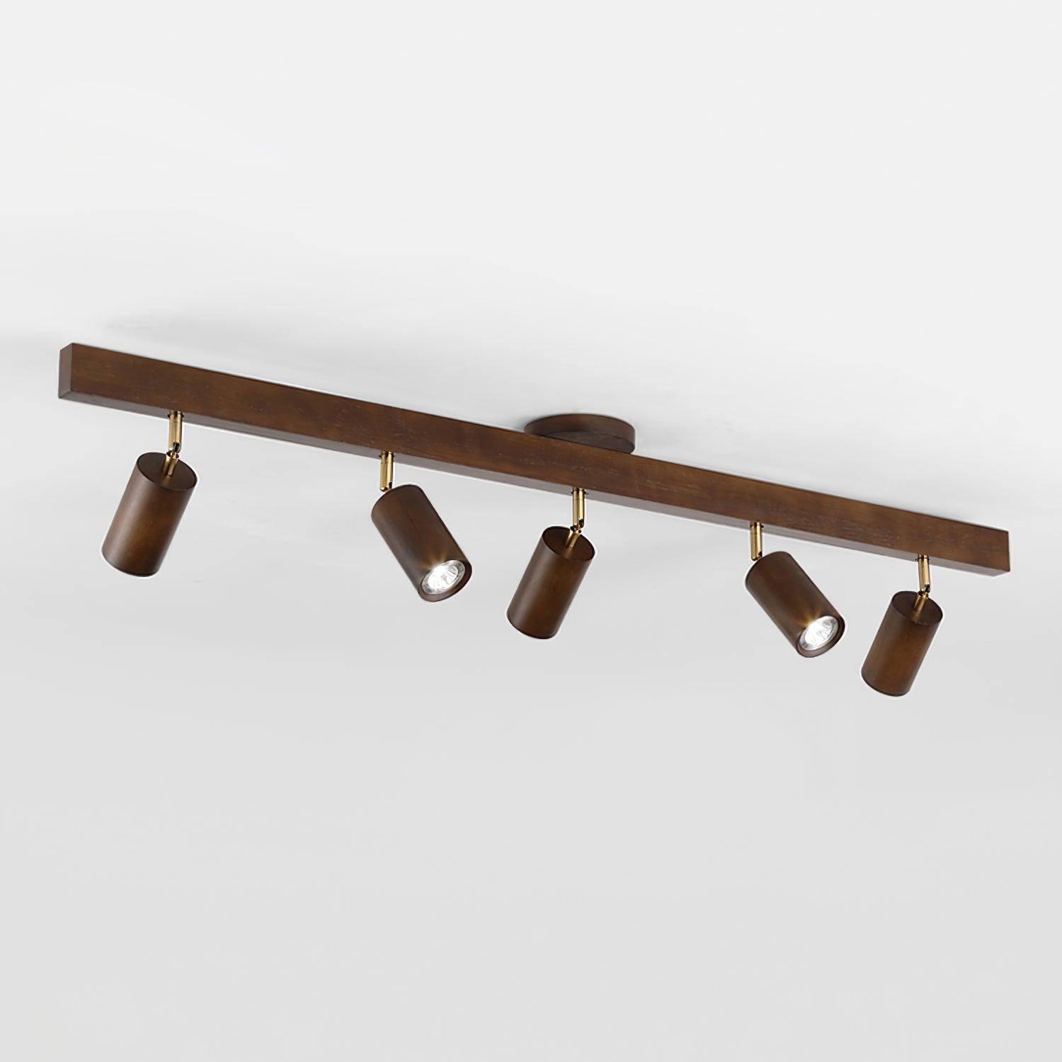 Linear Multi-Spot Ceiling Light