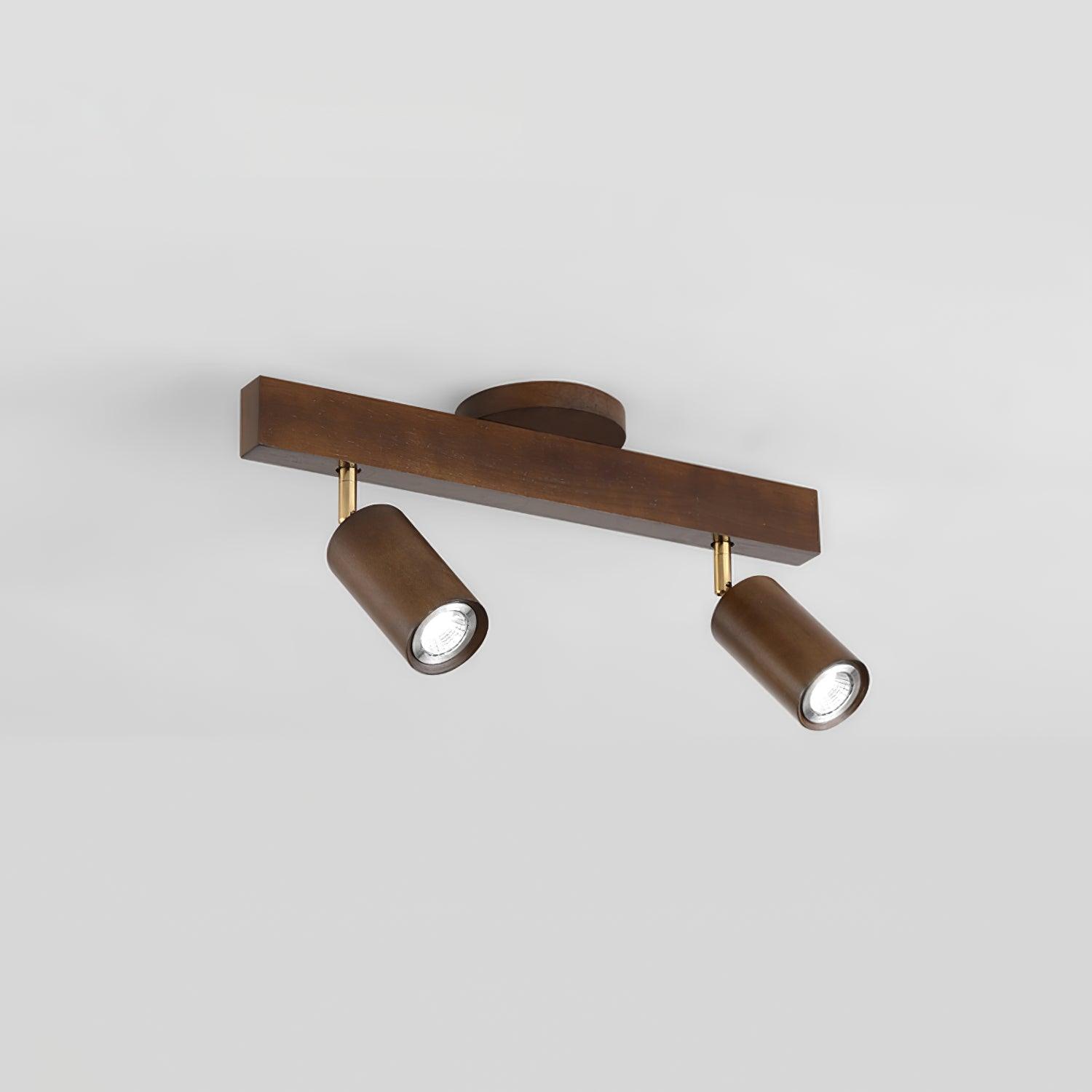Linear Multi-Spot Ceiling Light