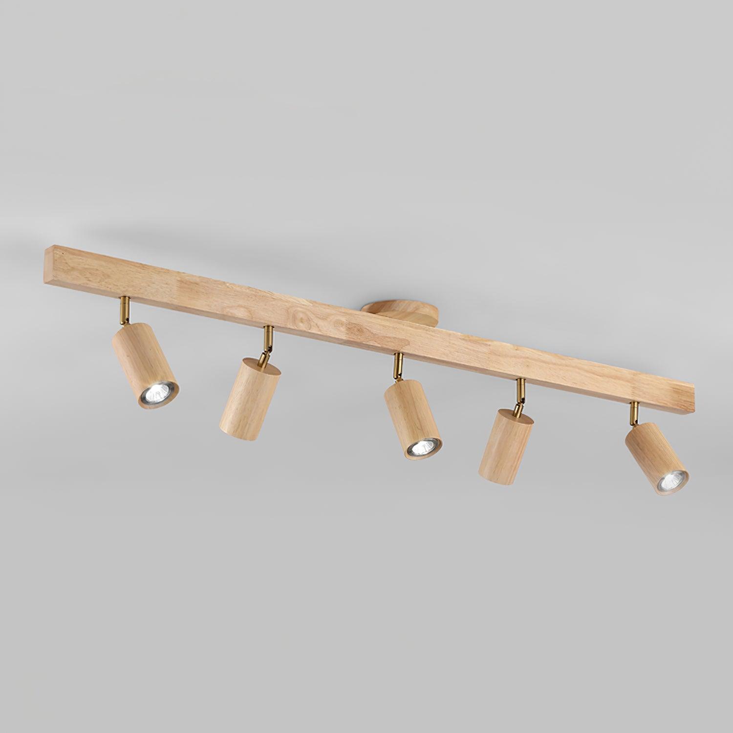 Linear Multi-Spot Ceiling Light