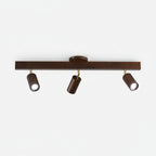 Linear Multi-Spot Ceiling Light