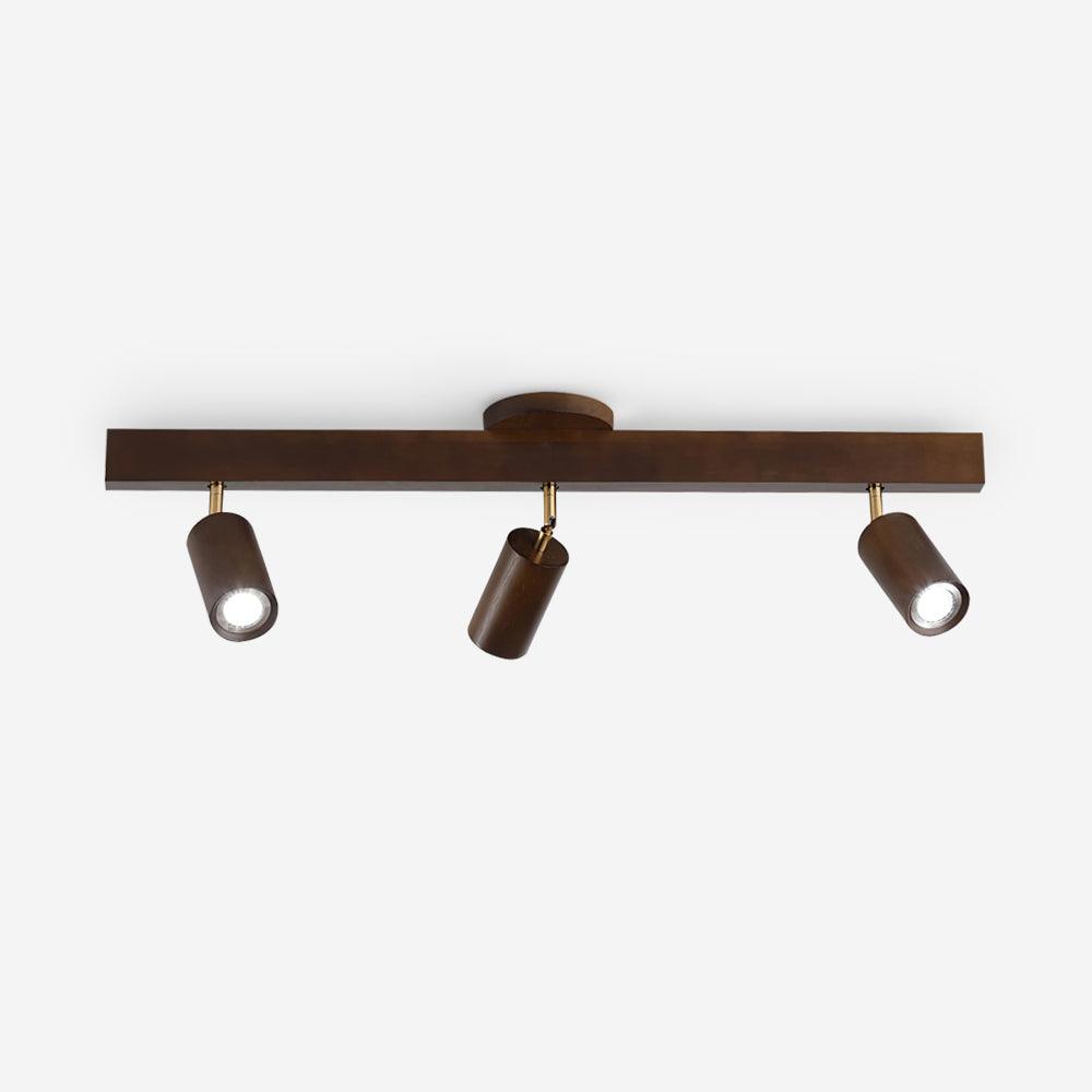 Linear Multi-Spot Ceiling Light