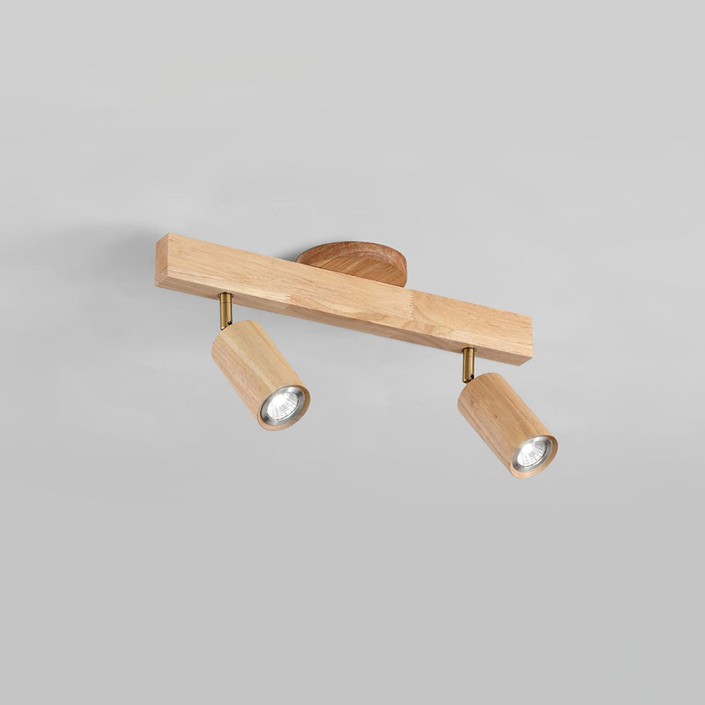 Linear Multi-Spot Ceiling Light