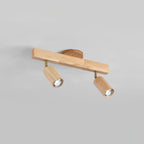 Linear Multi-Spot Ceiling Light
