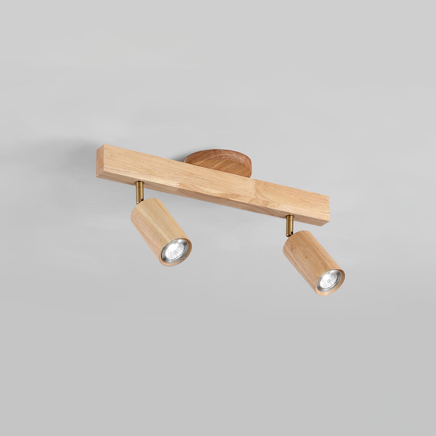 Linear Multi-Spot Ceiling Light