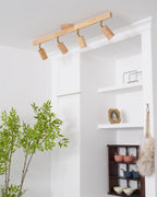 Linear Multi-Spot Ceiling Light