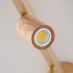 Linear Multi-Spot Ceiling Light