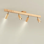 Linear Multi-Spot Ceiling Light