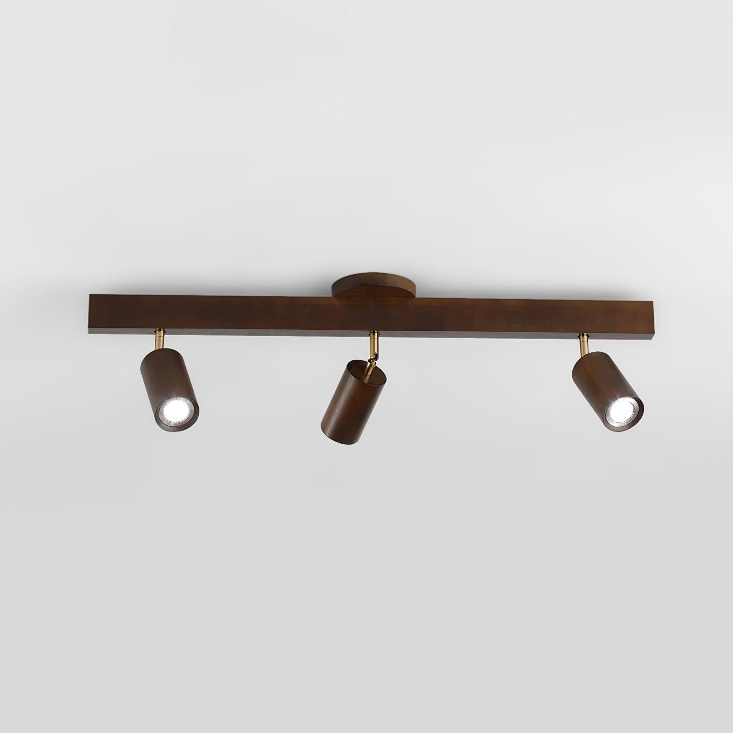 Linear Multi-Spot Ceiling Light
