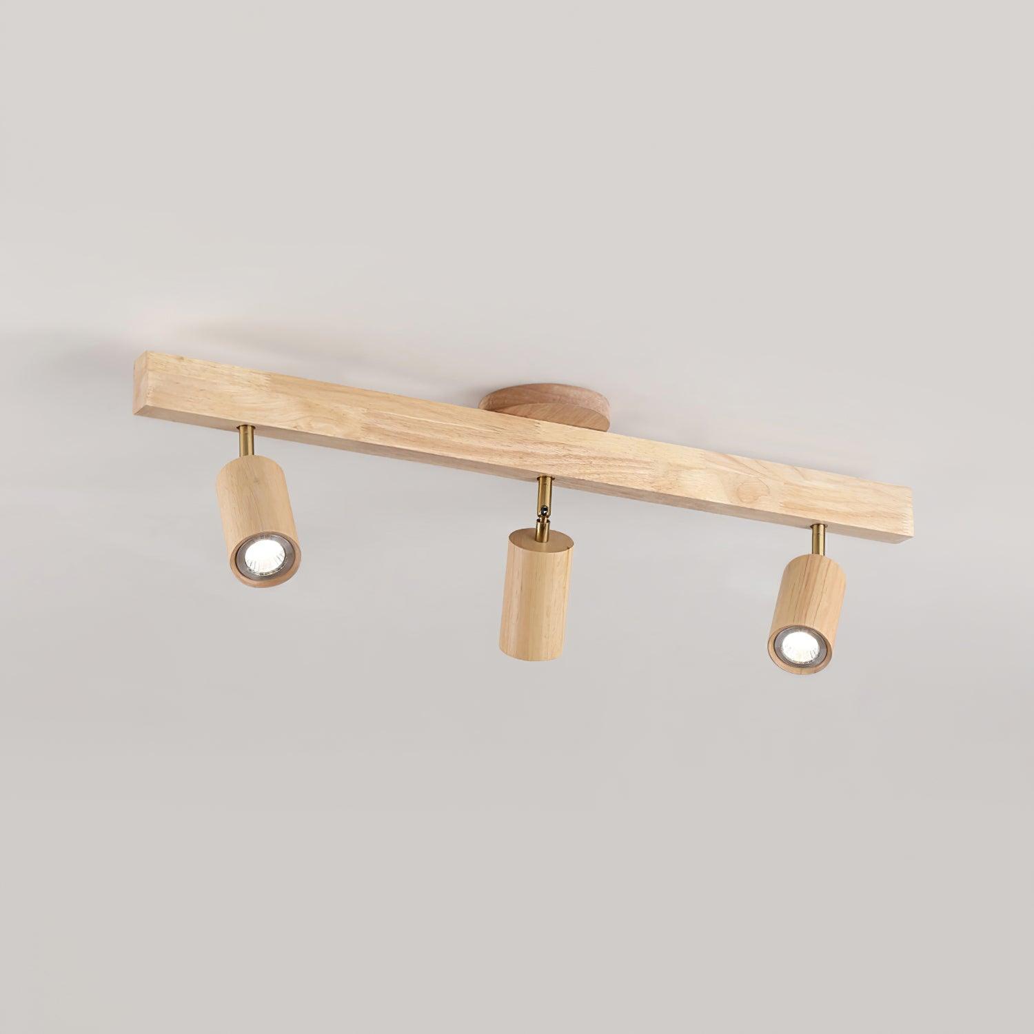 Linear Multi-Spot Ceiling Light