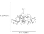 Linear Ginkgo Constellation