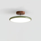 Illuminated Modern Green Flush Mount Ceiling Light Studio Display