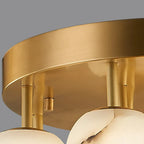 Close Up View of Brass Mount and Fixture Hardware