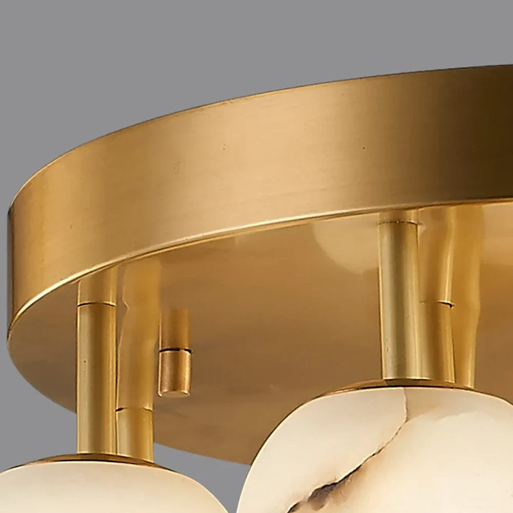 Close Up View of Brass Mount and Fixture Hardware
