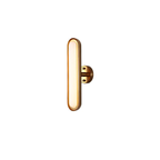 Metal Acrylic Linear Sconce