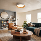 Metal Acrylic Ring Flush Mount
