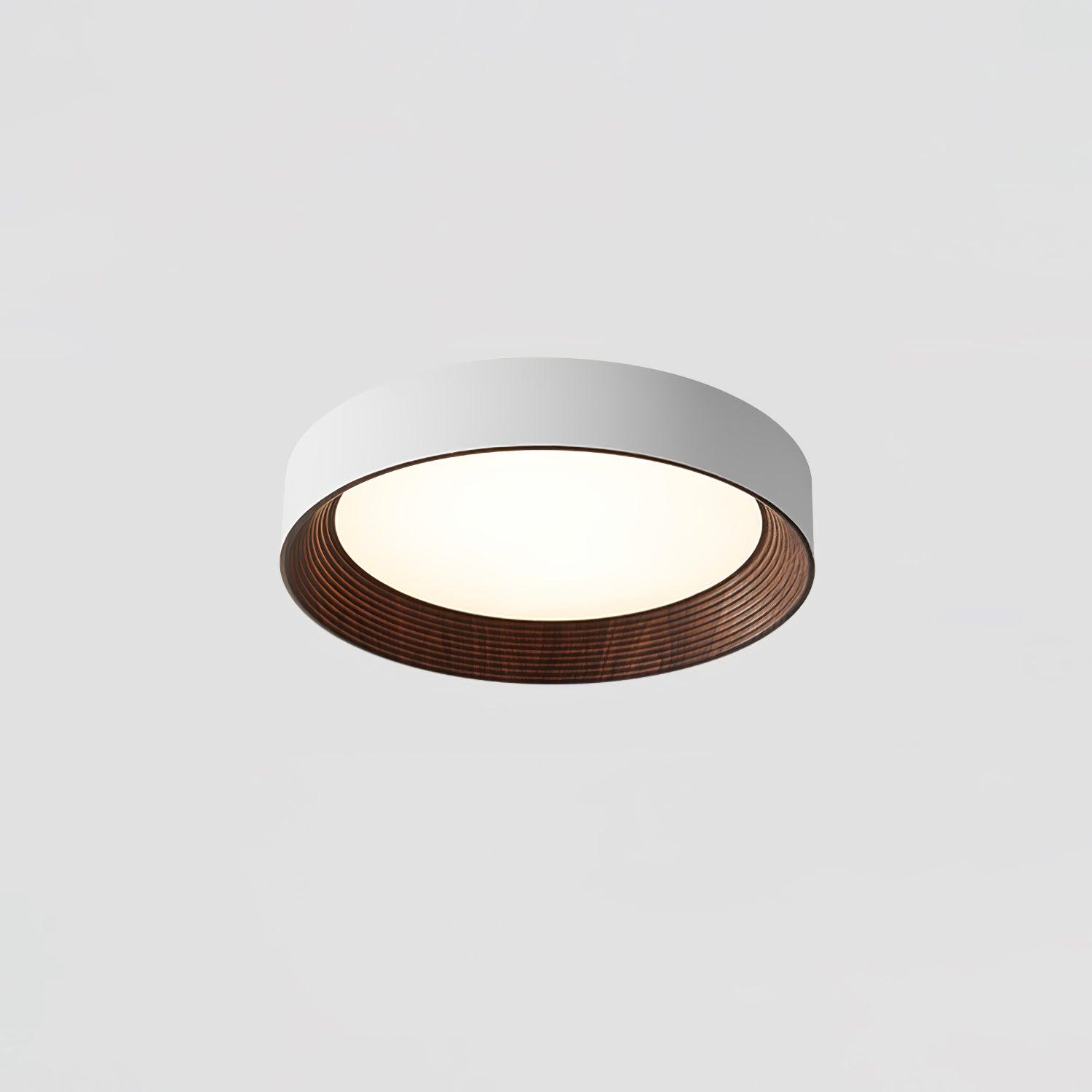 Metal Acrylic Ring Flush Mount