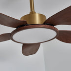 Metal and ABS Ceiling Fan with LED Light