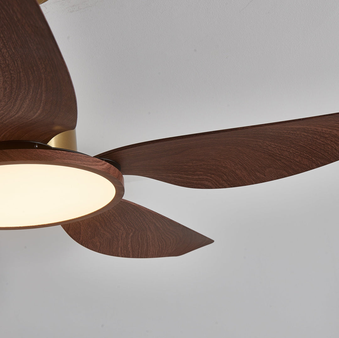 Metal and ABS Ceiling Fan with LED Light