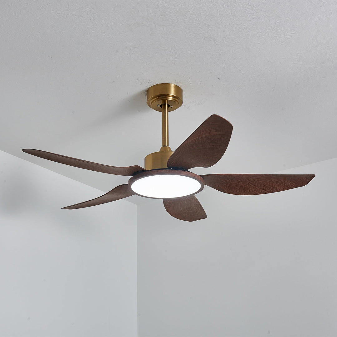 Metal and ABS Ceiling Fan with LED Light