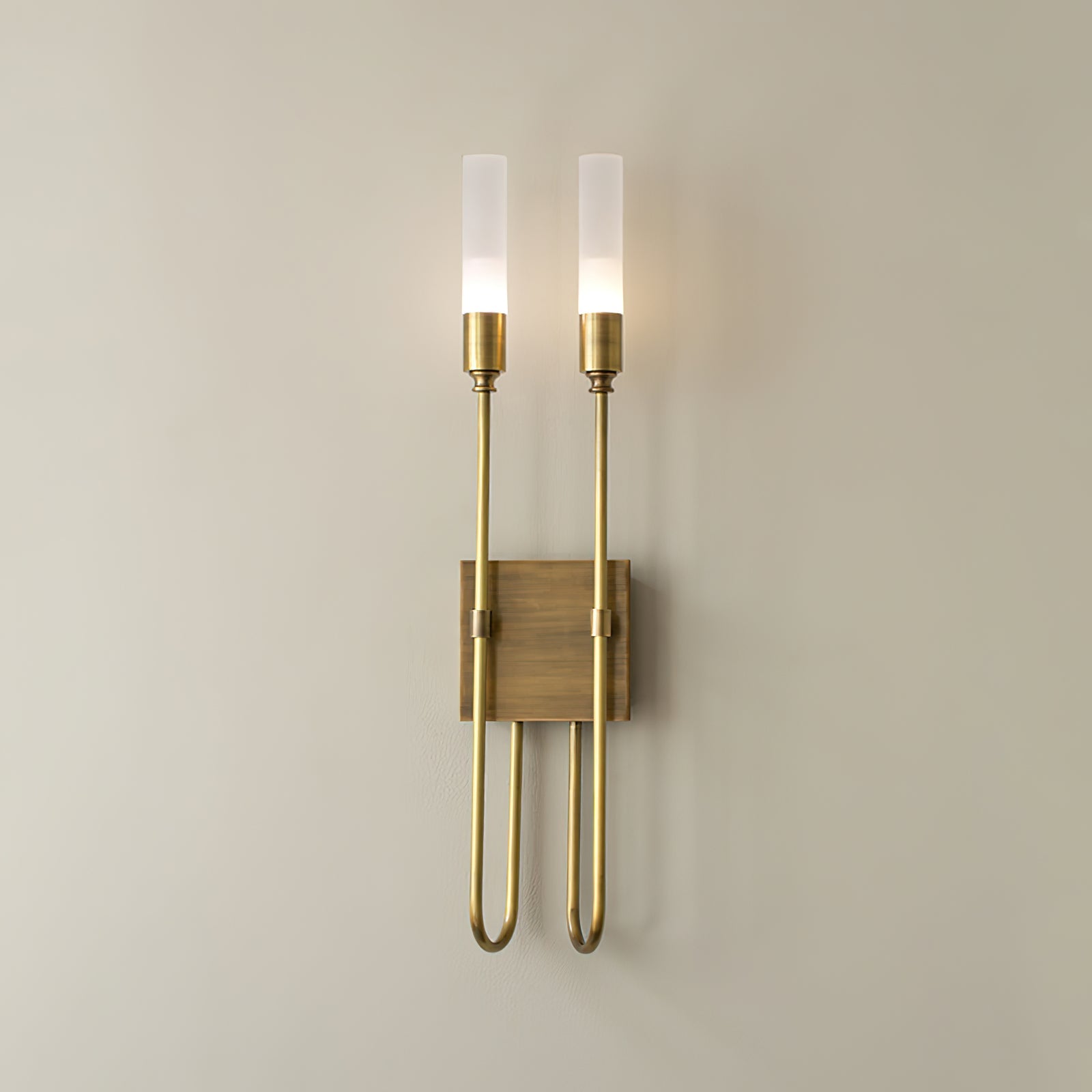 Metal Acrylic Dual Light Sconce