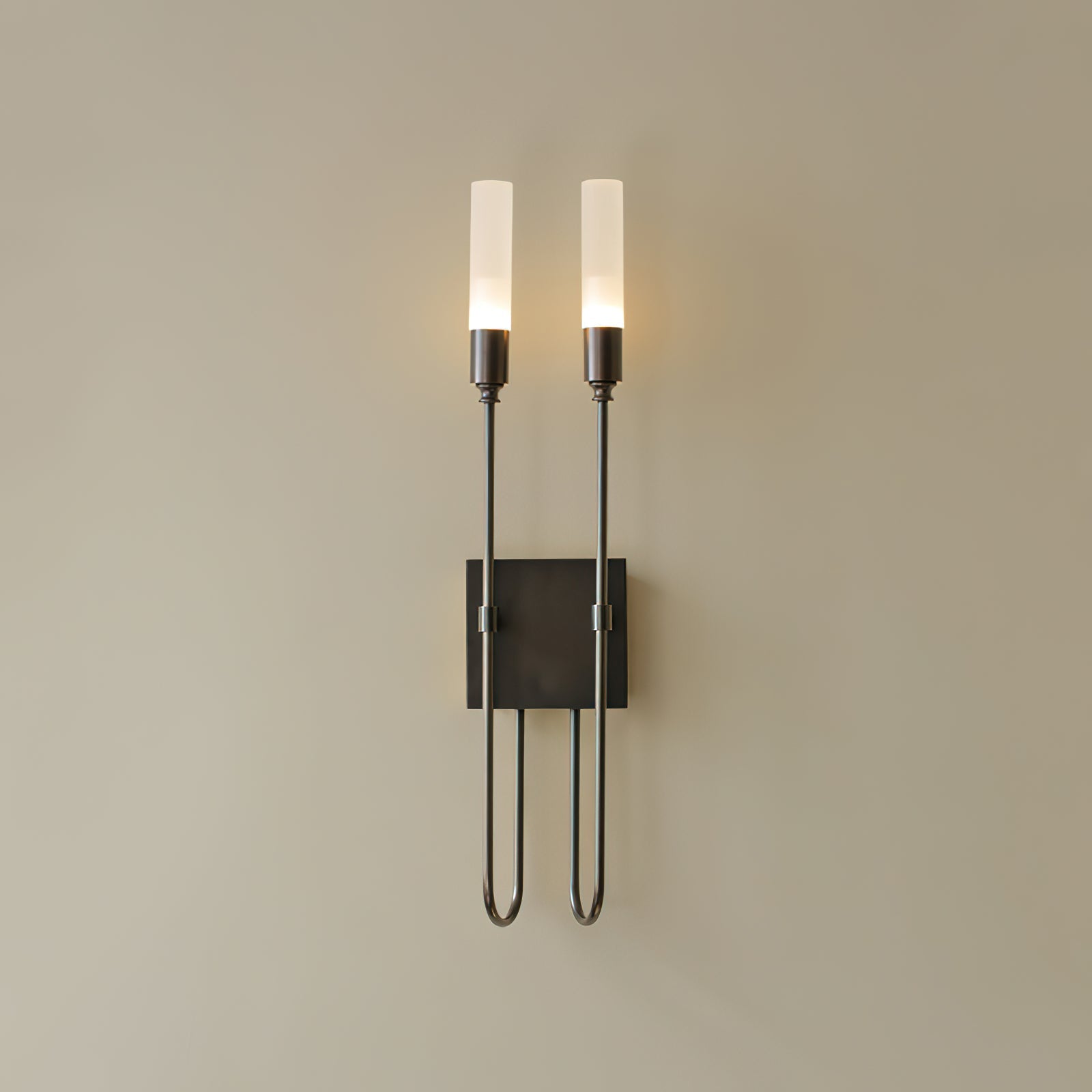 Metal Acrylic Dual Light Sconce